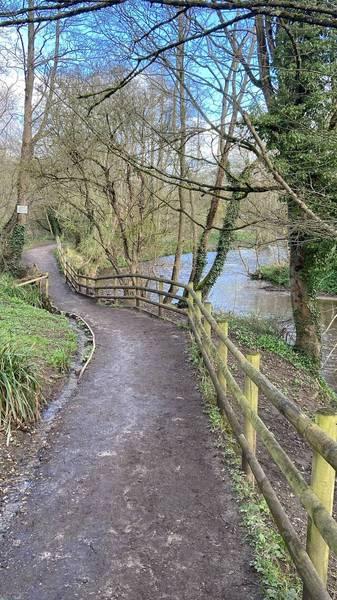 Preview of Alyn Waters Country Park