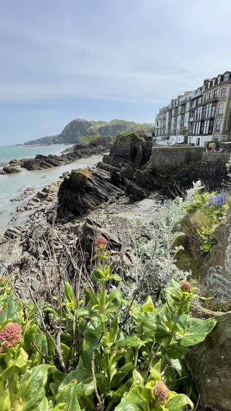 Preview of Ilfracombe Seascape - Step Free