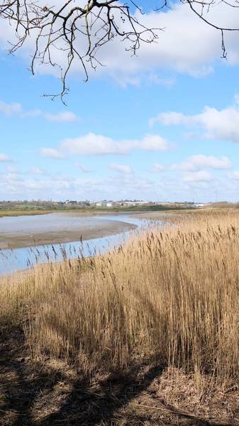 Preview of Wivenhoe Trail (Wivenhoe to Hythe)