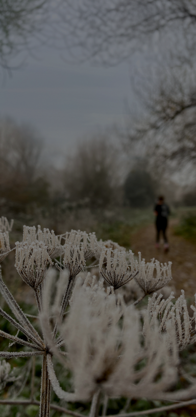 Preview of Winter Wanders