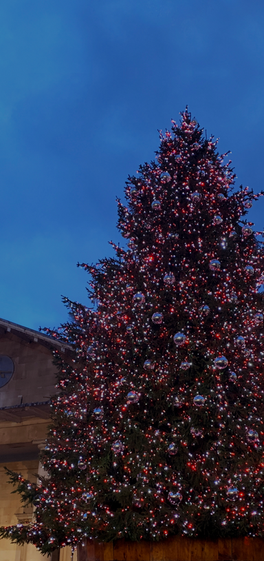 Preview of Advent Challenge