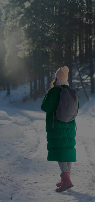 Preview of Advent Challenge