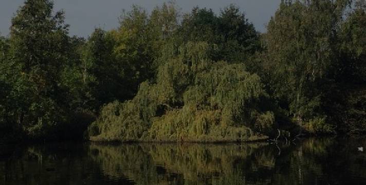 Preview of Capital Ring Challenge