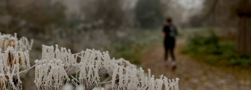 Preview of Winter Wanders