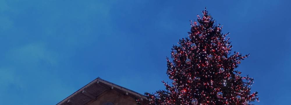 Preview of Advent Challenge