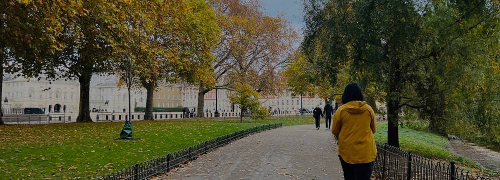 Preview of Autumn Winter Wanders