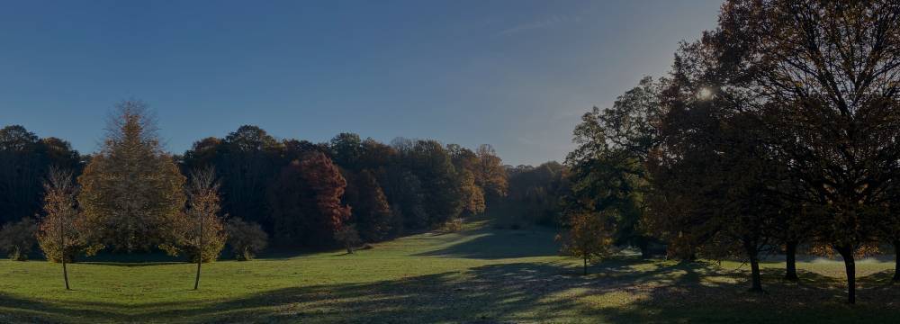 Preview of Walktober