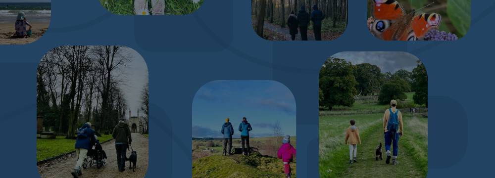 Preview of Walk 2025 Challenge