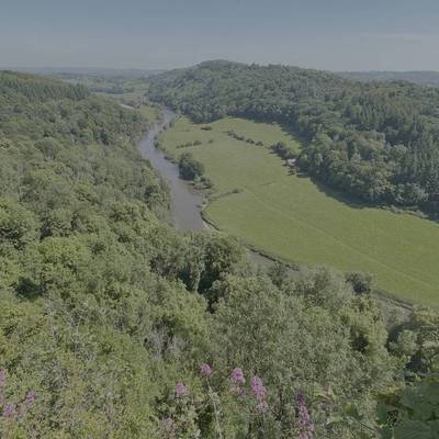 See our Let Nature Be Your Guide collection