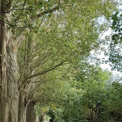 See our Explore Swindon's Heritage and Nature collection