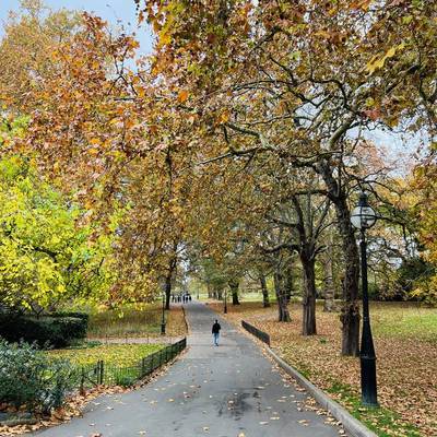 See our London's Cultural Highlights collection