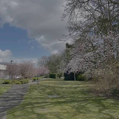 See our NOC Nature Strolls collection