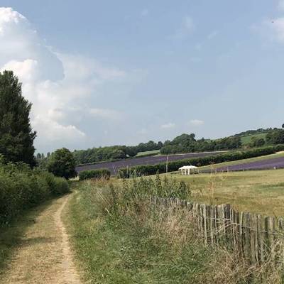 See our Thameslink Trails collection