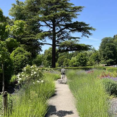 See our Suffolk Family Friendly Frolics collection