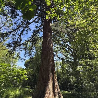 See our Explore Swindon's Heritage and Nature collection
