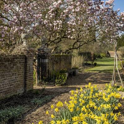 See our The Big Blooming Walks collection