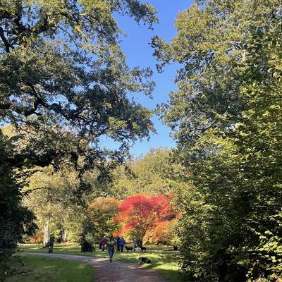 See our Autumn Days Out collection
