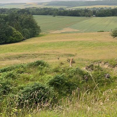 See our Green Health Routes North East collection