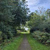 Keep following the path straight from the dam, and you'll begin to enter the meadows. The ground will become more uneven here.