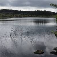 Loch Ahnock . Country Fermanagh. Wonderful waterside walk then leading to a path under mountains and boulders. Short 2km or 4km bike.