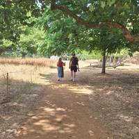 Start at the walled garden entrance