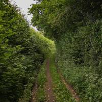 Walk the verdant way, look for a stile on the left.