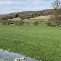 Continue along the field with the hedge on the right.