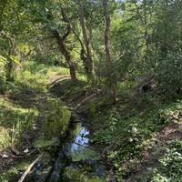 This is the view over the bridge crossing the mill stream. Enter the path between this stream and the River Crane.