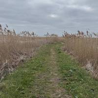 It’s hard to get lost here, with fantastic signposting and an intrepid explorers dream.