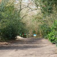 Follow the dirt track towards the Roman River Valley Nature Reserve. This is managed by The Essex Wildlife Trust.