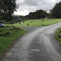 As the road opens up onto the green take the grassy path to the left as it starts to turn down the hillside.