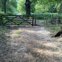 Reach the first gate straight ahead