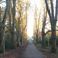 Finchley woods walk