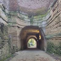 Continue straight ahead. If you wish to explore the steps on the left go up to the Ropewalk.