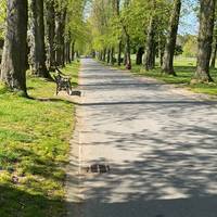 Let’s start by walking down the tree lined avenue. The Lime trees always look majestic in all seasons.