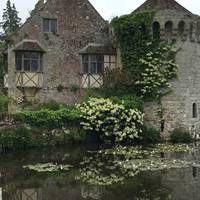 There are 780 acres here to enjoy. Walk east down to the old Scotney castle ruins.