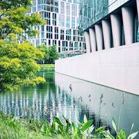 There is a walkway, moat and wildflower meadow circling the US Embassy Building so take a loop around and admire the gardens.