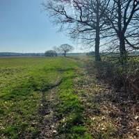 Keep going straight along the path.