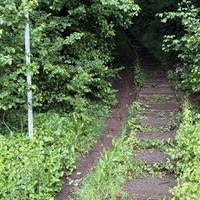Start the walk on the steep steps up on your right hand side marked by a white pole