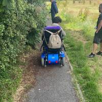 Continue ahead on the tarmac park. There are overhanging branches, brambles and nettles along a narrow path. the bushes are cut back yearly