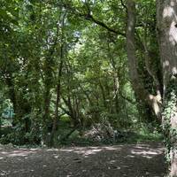 Veer slightly right but don’t take the path immediately right (into the woods).
