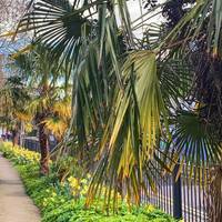 You can wander as you wish or keep to the right of the park to continue on our route.