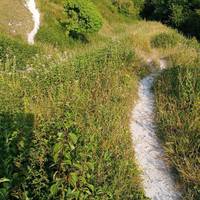 From part 1, turn left at the end of the downhill path