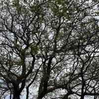 Maybe pause for a moment, take a deep breath & begin to notice what is going on around you 🌳🍃