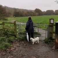 With the road behind you, go through the swing gate to the left of the car park.