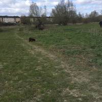 Having crossed the wooden bridge turn right and follow the path which roughly follows the course of the river