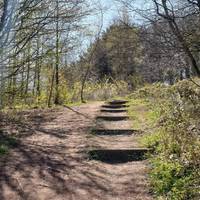 Walk straight up the hill (starting with some steps) until you arrive at a gate.