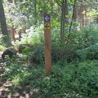 Follow yellow sign for wellbeing trail to the left.