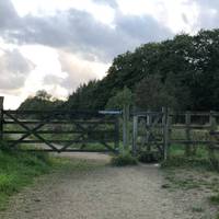You will approach a wooden fence leading onto an open path with a field to the left and the Brook to your right.