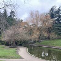 If continuing, carefully cross the road to the edge of the pond. Take the footpath around the edge closest to the road.